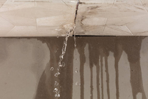 Professional Structural Drying technician working in Bailey, TX
